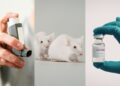 2024 Animal Research Breakthroughs You Need