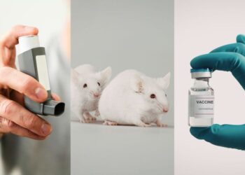 2024 Animal Research Breakthroughs You Need