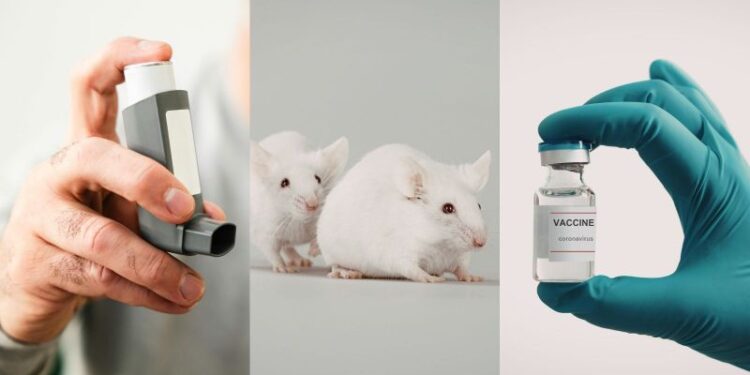 2024 Animal Research Breakthroughs You Need