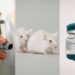 2024 Animal Research Breakthroughs You Need