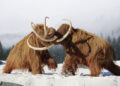 Ancient Animal DNA Successfully Revived by Scientists