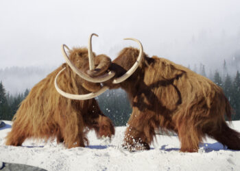Ancient Animal DNA Successfully Revived by Scientists