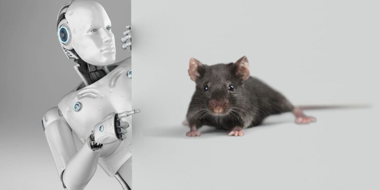 Robots Replacing Real Animals Soon