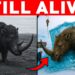 Rare Ancient Animal Captured Alive on Camera