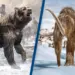 One Old Animal Outlasts a Generation